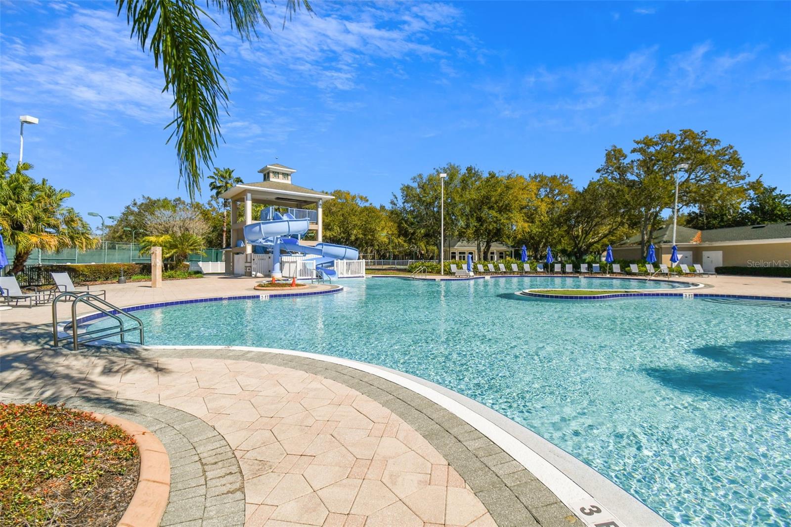 18214 PARADISE POINT DR, TAMPA, FL — photo 45