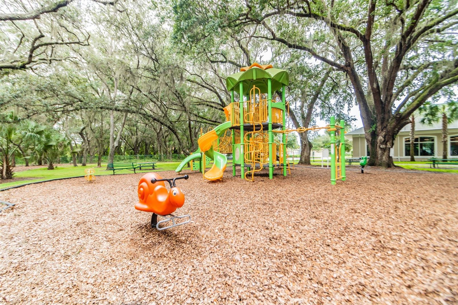 18214 PARADISE POINT DR, TAMPA, FL — photo 55