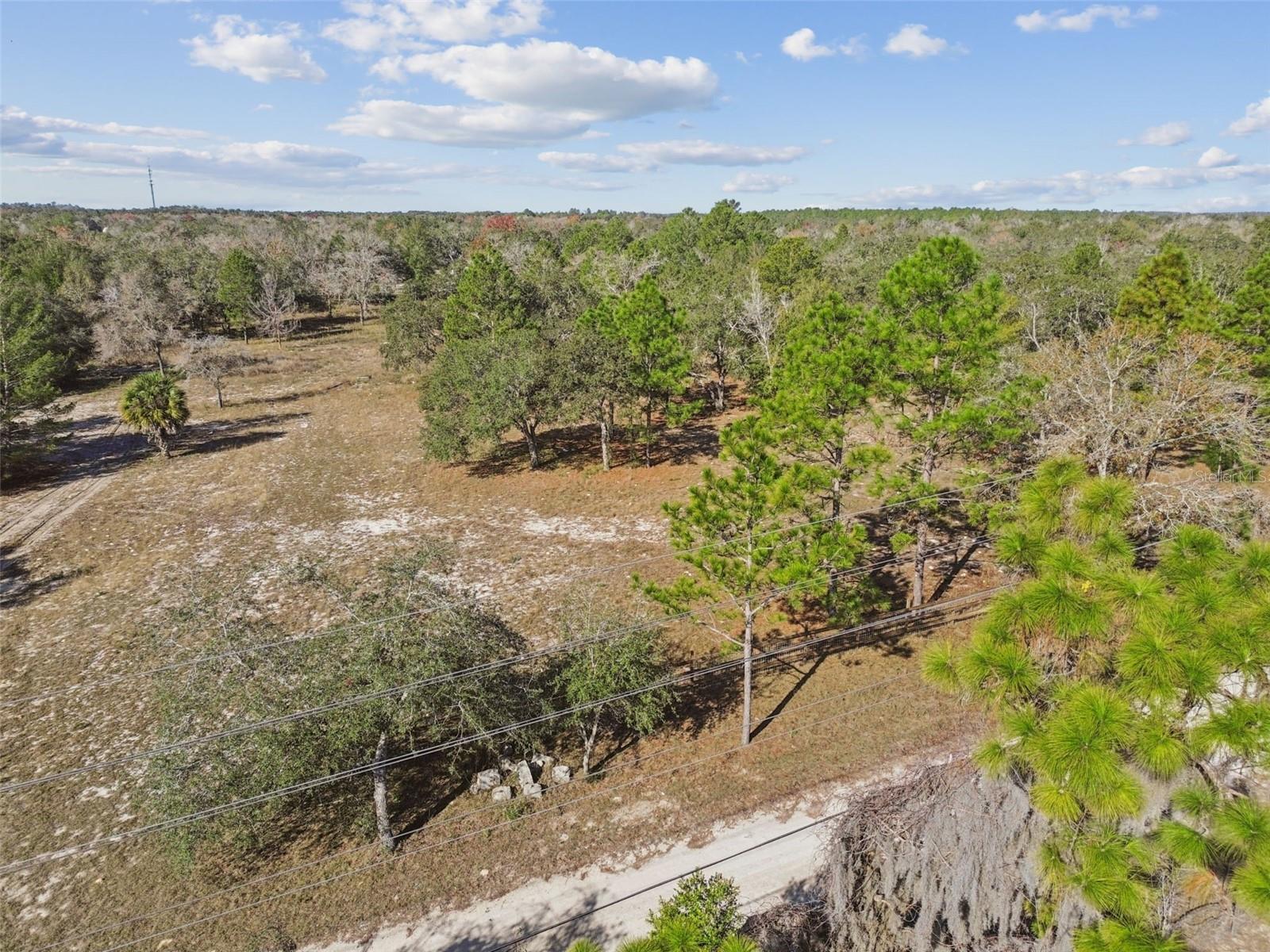 14459 COYOTE RD, HUDSON, FL — photo 9