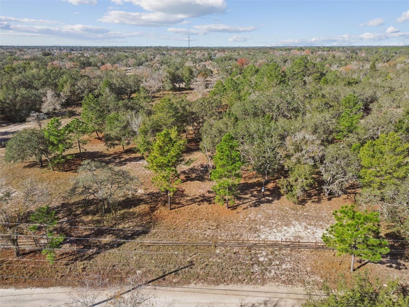 14459 COYOTE RD, HUDSON, FL — photo 13