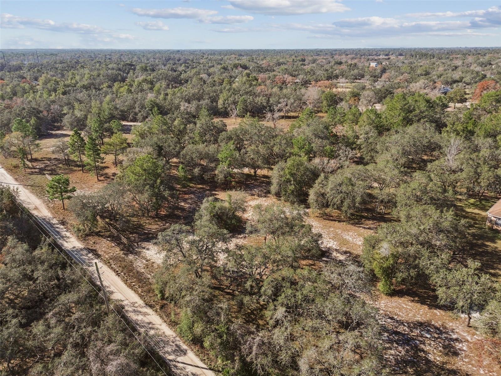 14459 COYOTE RD, HUDSON, FL — photo 19