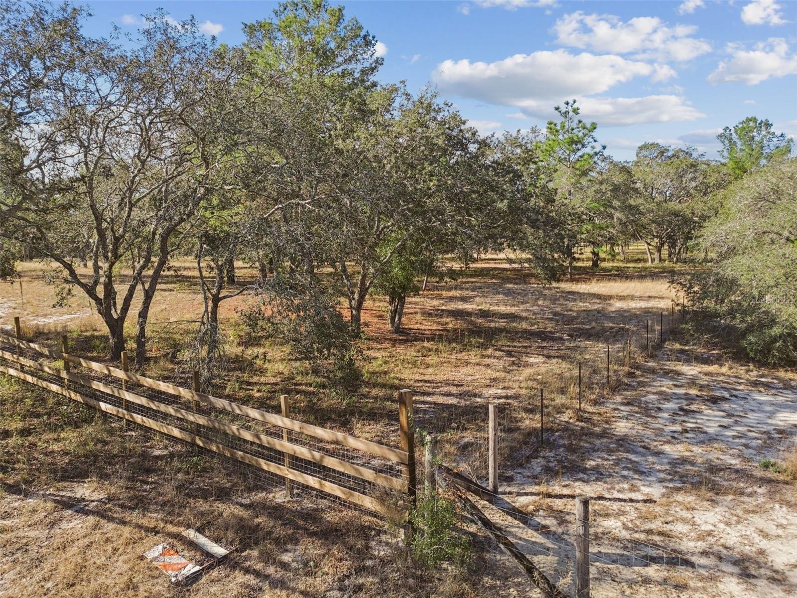 14459 COYOTE RD, HUDSON, FL — photo 24
