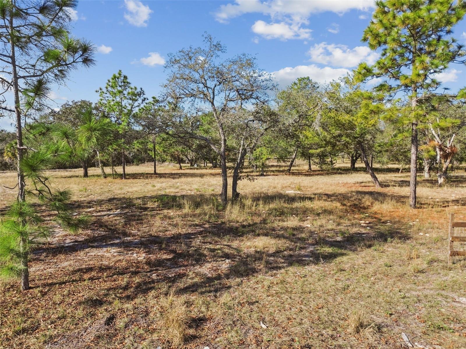 14459 COYOTE RD, HUDSON, FL — photo 32