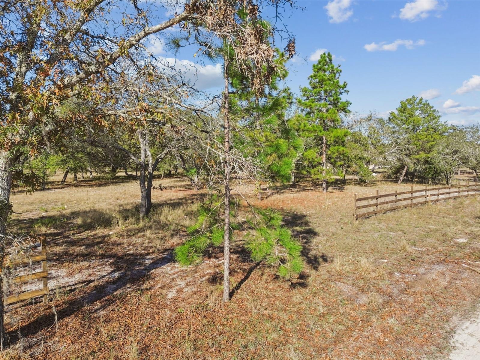 14459 COYOTE RD, HUDSON, FL — photo 33