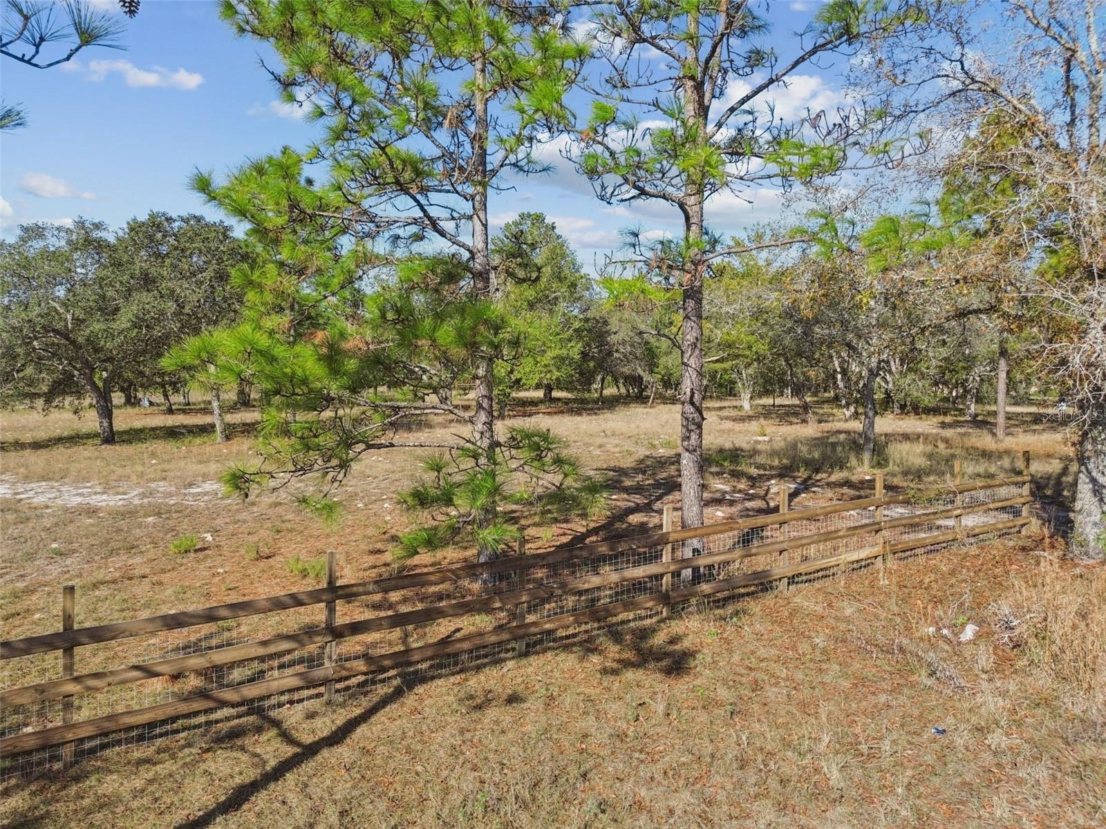 14459 COYOTE RD, HUDSON, FL — photo 36