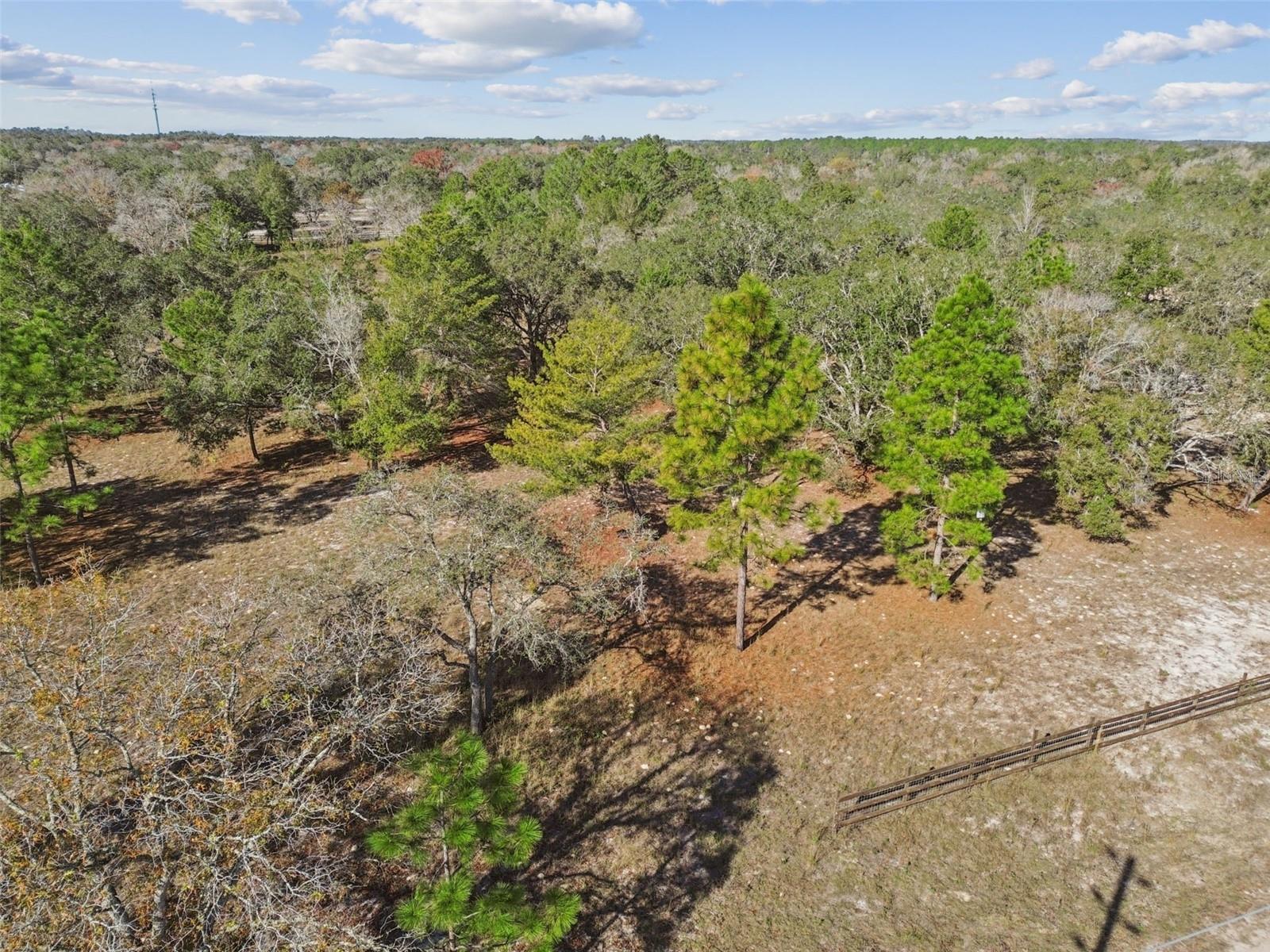 14459 COYOTE RD, HUDSON, FL — photo 39