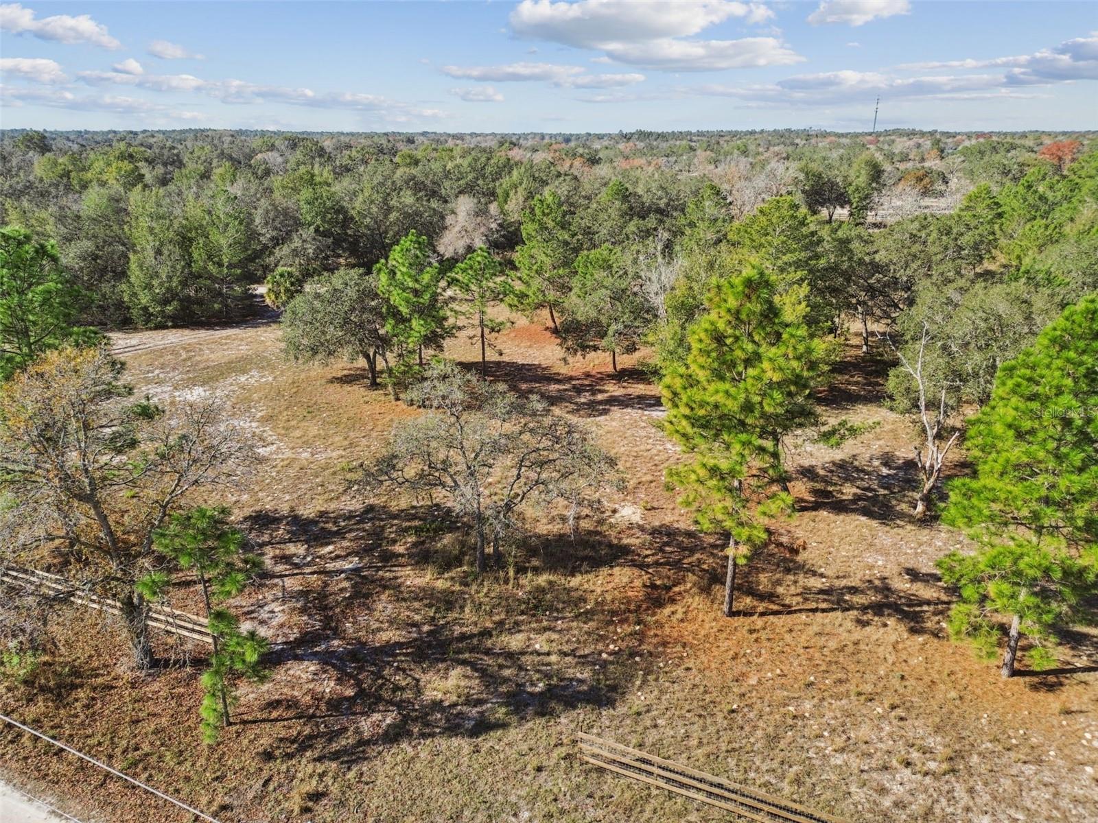 14459 COYOTE RD, HUDSON, FL — photo 41