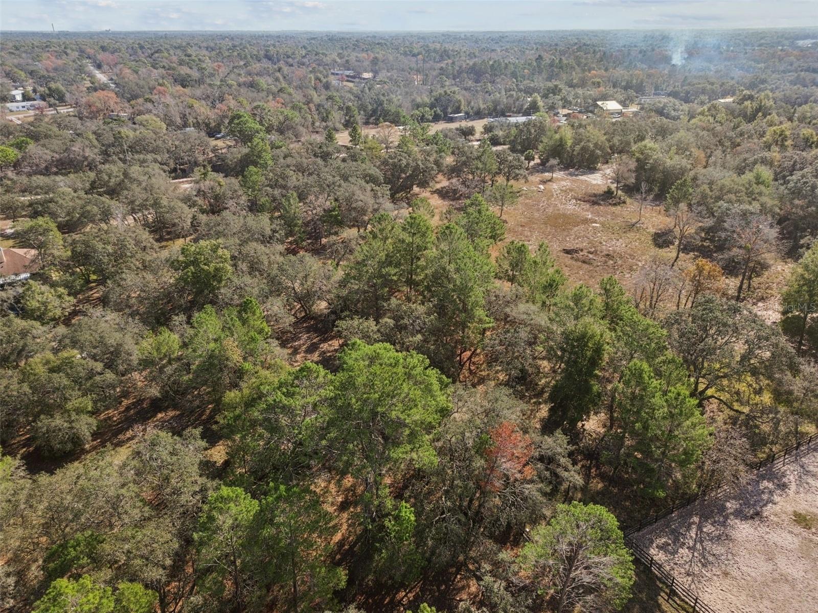 14459 COYOTE RD, HUDSON, FL — photo 90