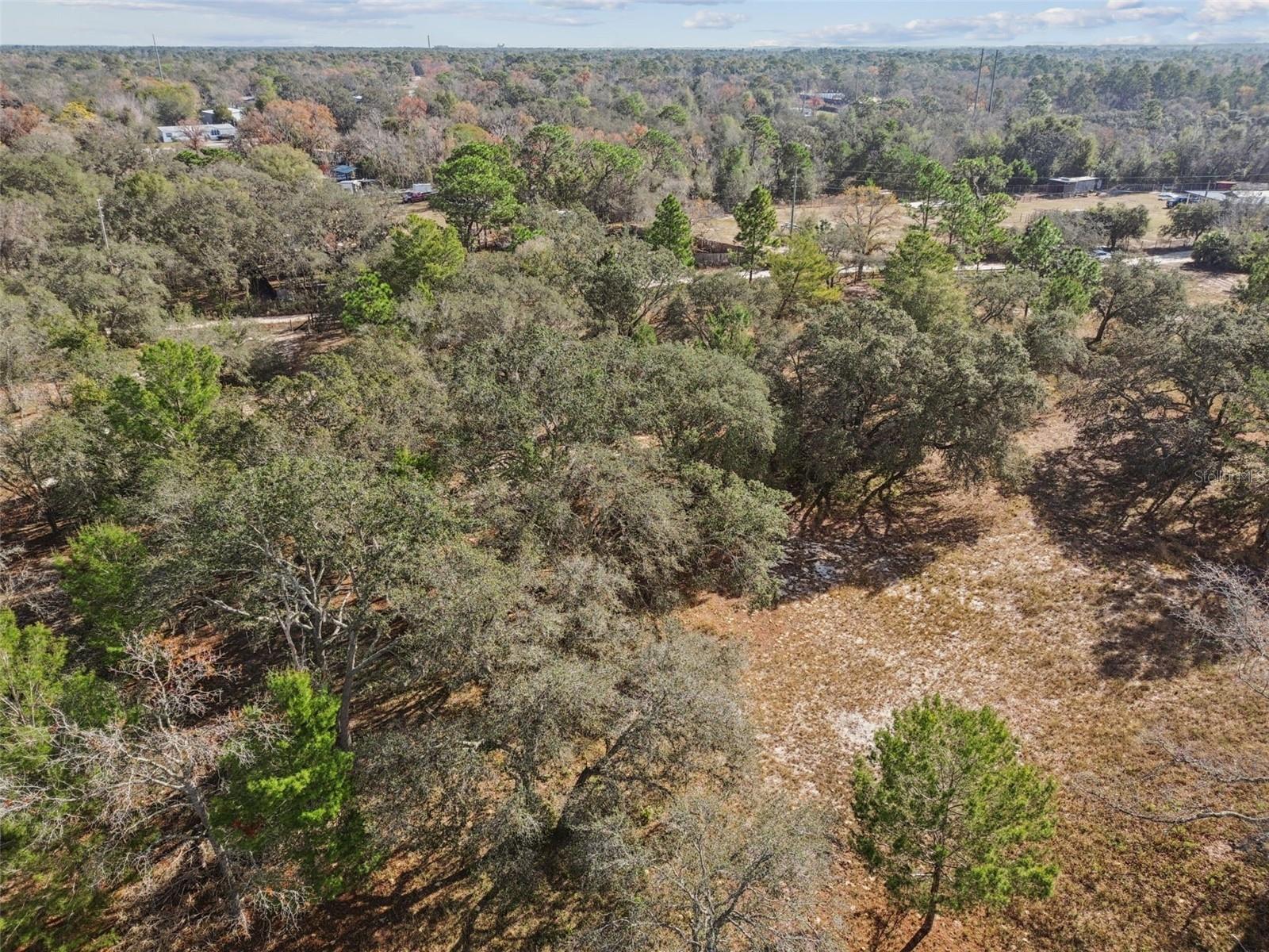 14459 COYOTE RD, HUDSON, FL — photo 98