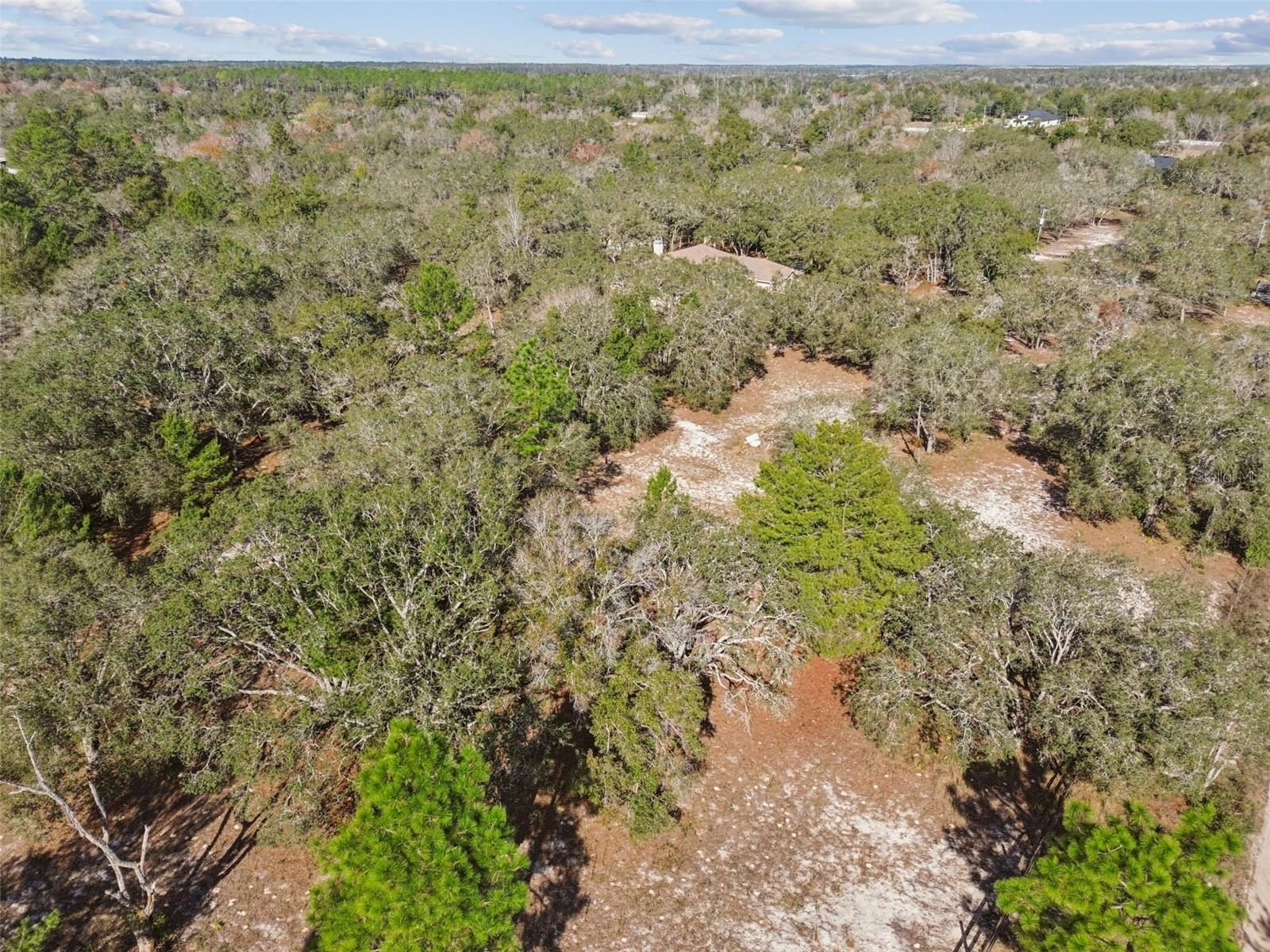 14459 COYOTE RD, HUDSON, FL — photo 102
