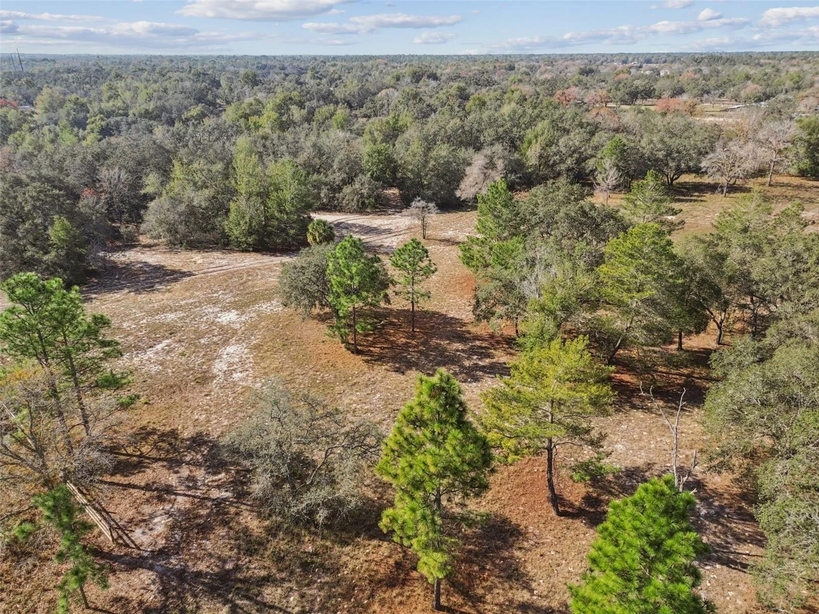 14459 COYOTE RD, HUDSON, FL — photo 104
