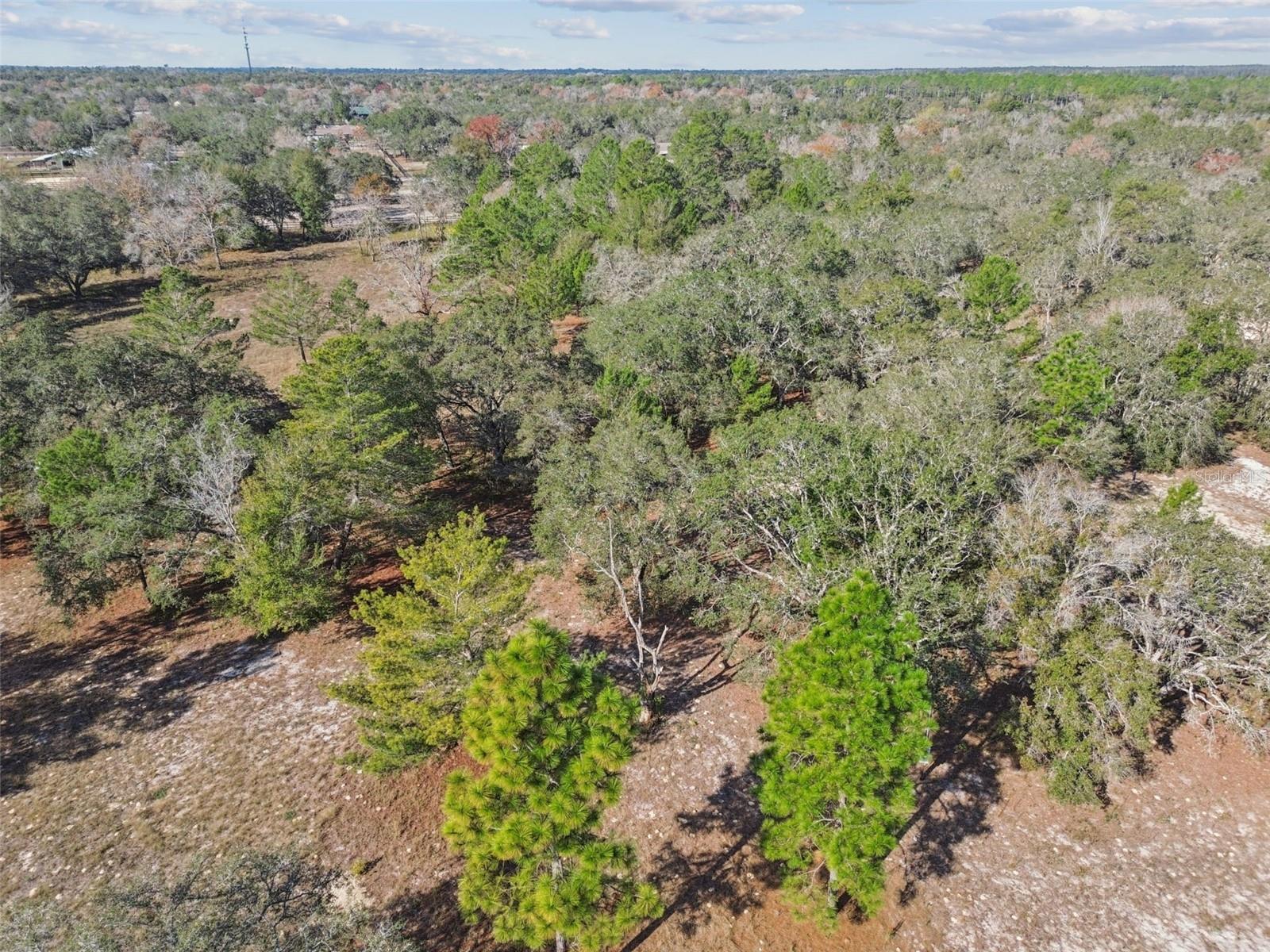 14459 COYOTE RD, HUDSON, FL — photo 106