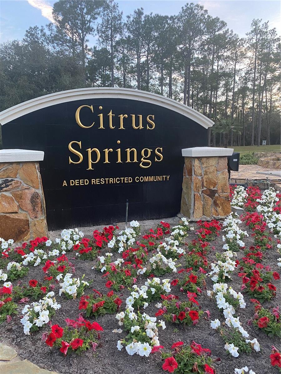 7981 N SARAZEN DR, CITRUS SPRINGS, FL — photo 4