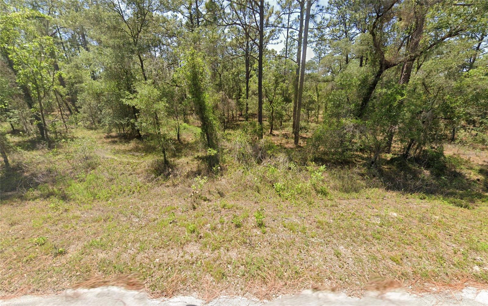 156 NW REDWING RD, DUNNELLON, FL