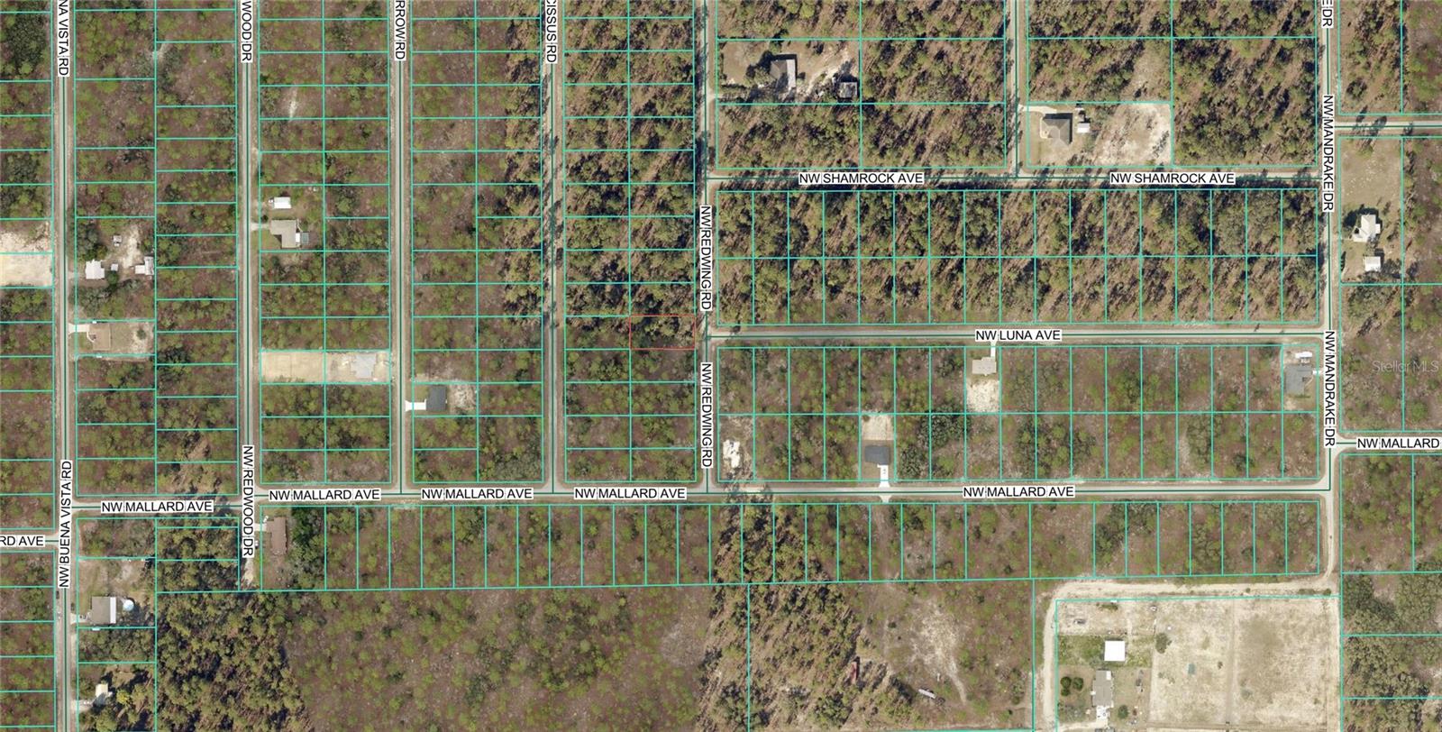 156 NW REDWING RD, DUNNELLON, FL — photo 3