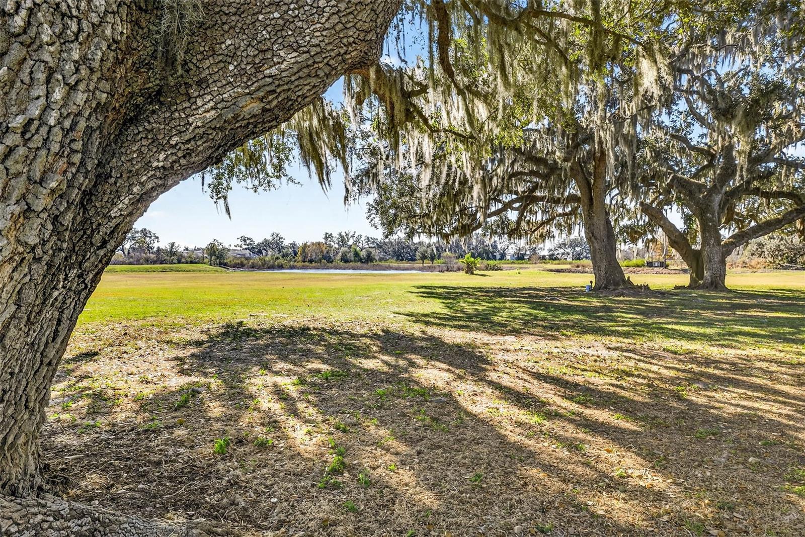 6750 SUTTON OAKS LN, ZEPHYRHILLS, FL — photo 63