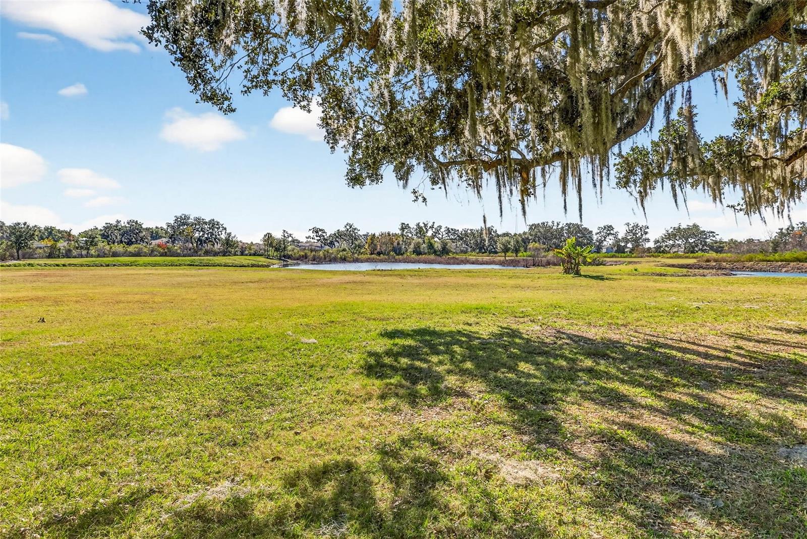 6750 SUTTON OAKS LN, ZEPHYRHILLS, FL — photo 64