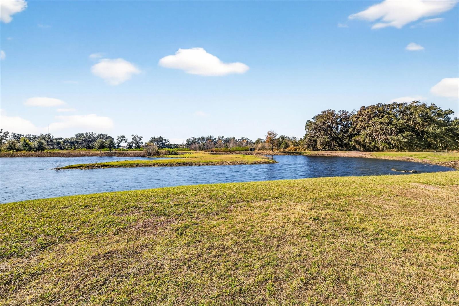 6750 SUTTON OAKS LN, ZEPHYRHILLS, FL — photo 65