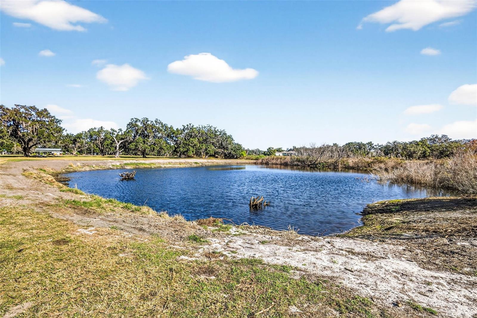 6750 SUTTON OAKS LN, ZEPHYRHILLS, FL — photo 68