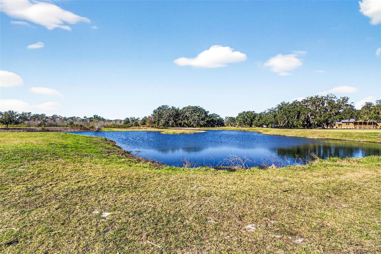 6750 SUTTON OAKS LN, ZEPHYRHILLS, FL — photo 70
