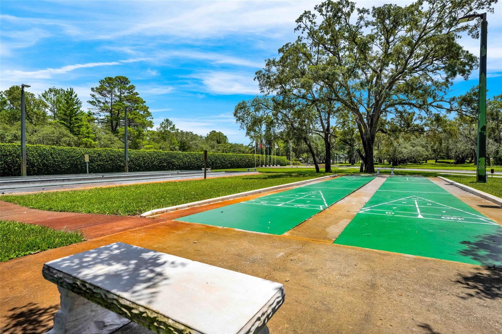 9313 GENTLE BEN CT, WEEKI WACHEE, FL — photo 72