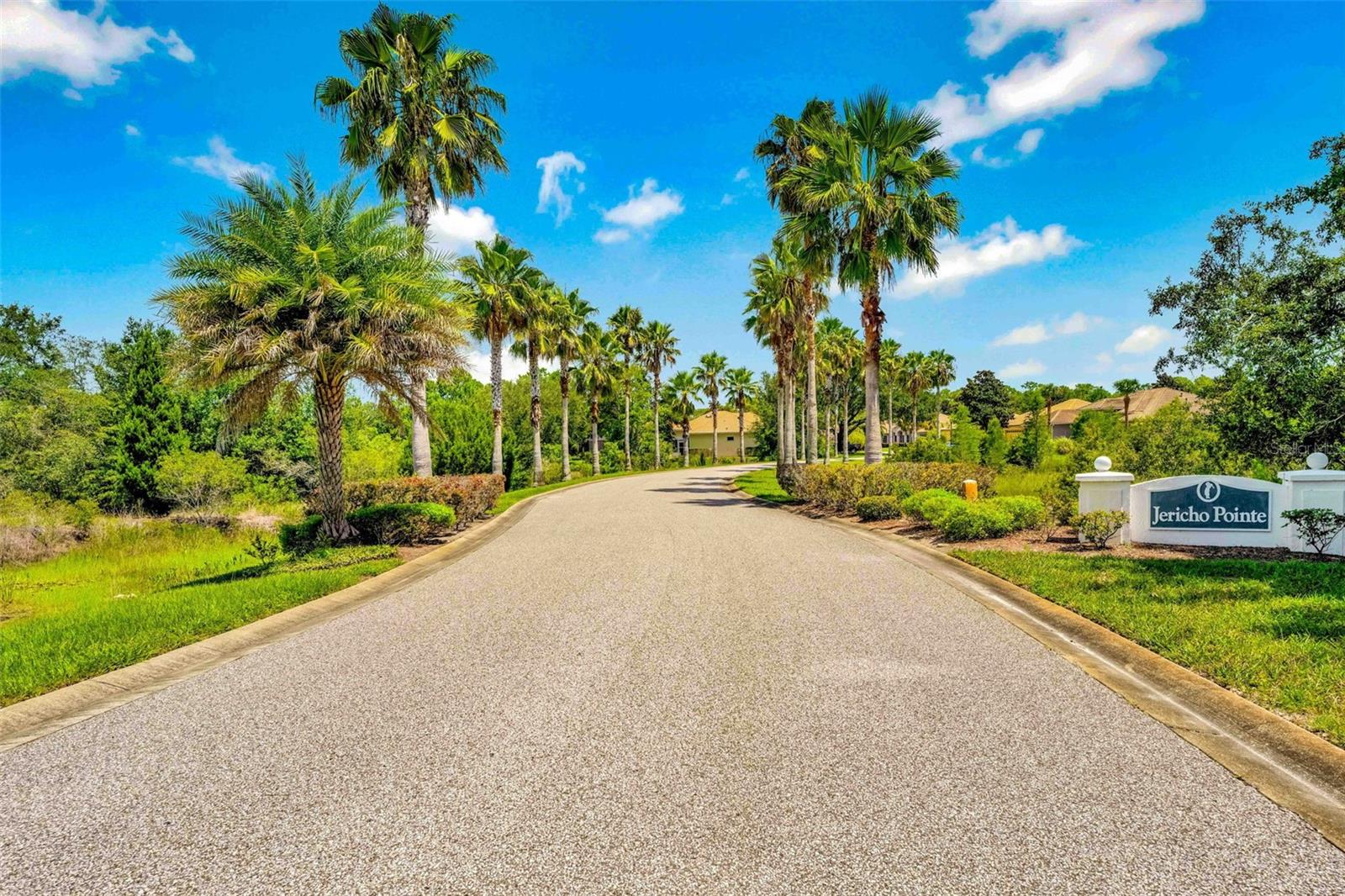 9313 GENTLE BEN CT, WEEKI WACHEE, FL — photo 49