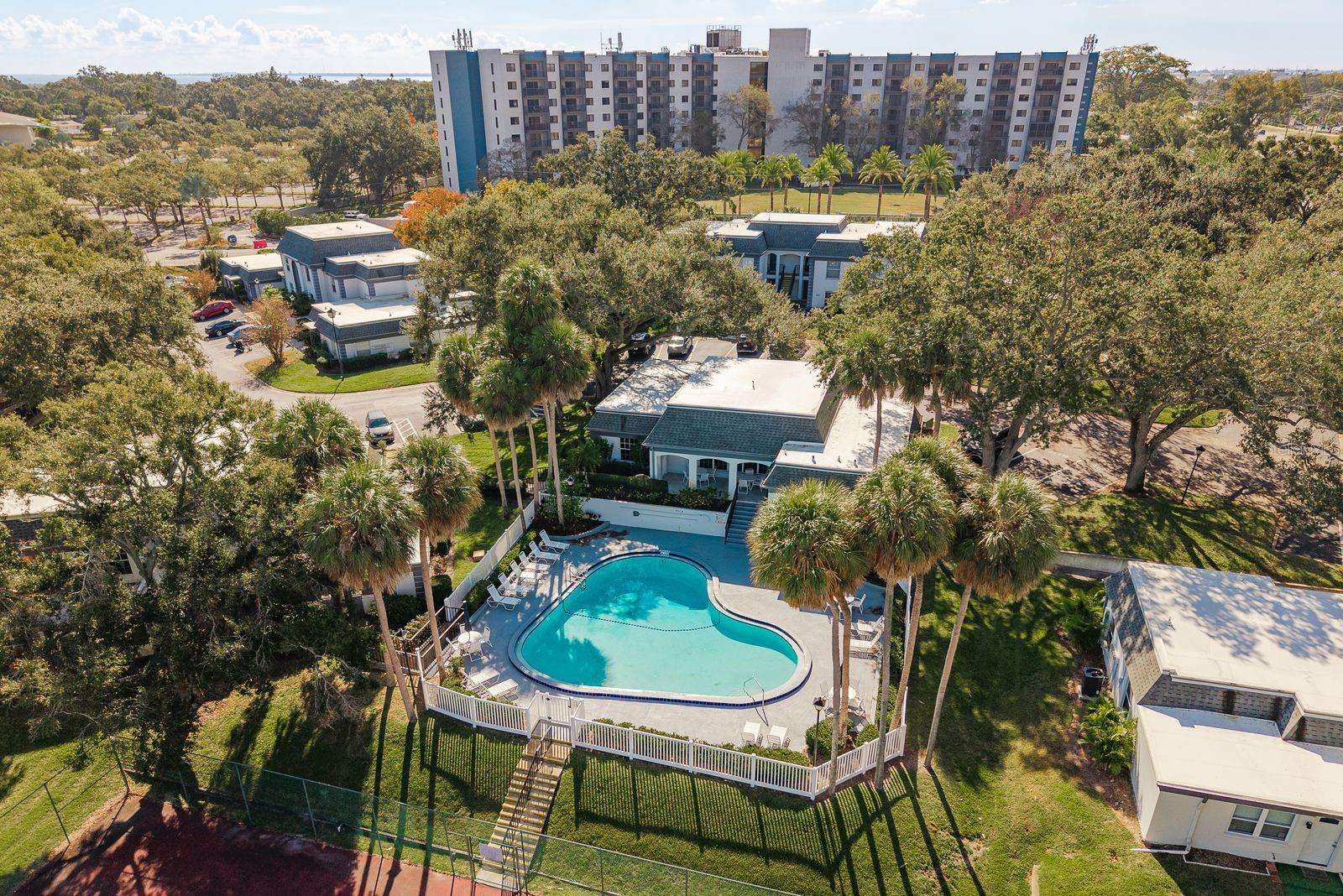 1333 N MCMULLEN BOOTH RD #1333, CLEARWATER, FL — photo 21