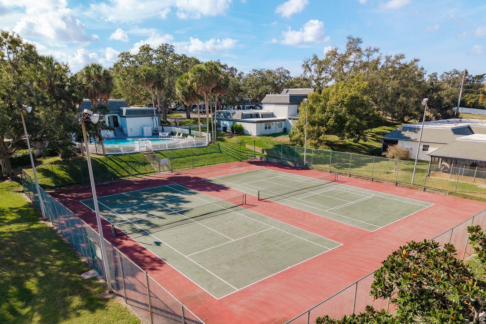 1333 N MCMULLEN BOOTH RD #1333, CLEARWATER, FL — photo 23