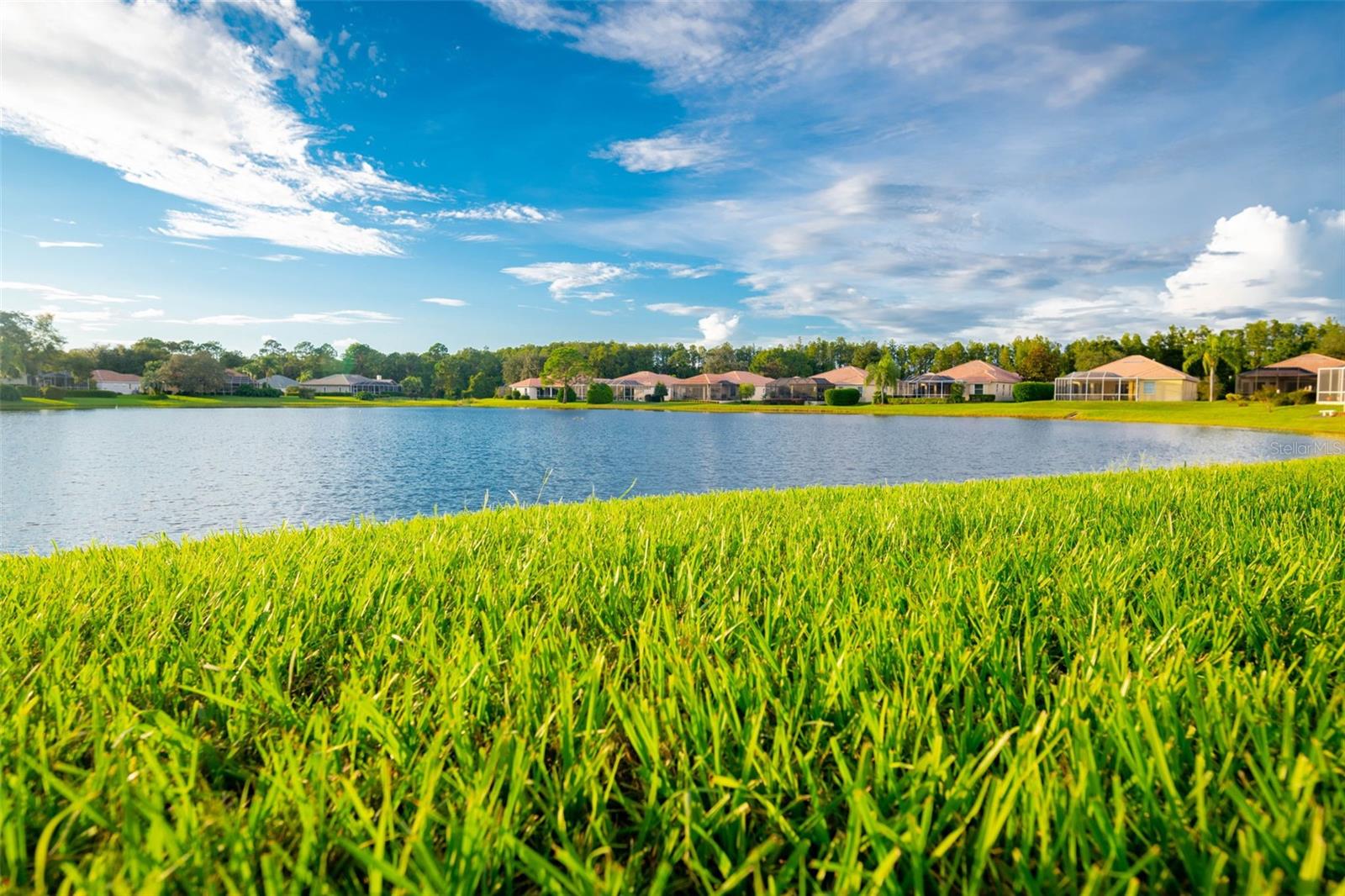 9322 SEVE CT, WEEKI WACHEE, FL — photo 25