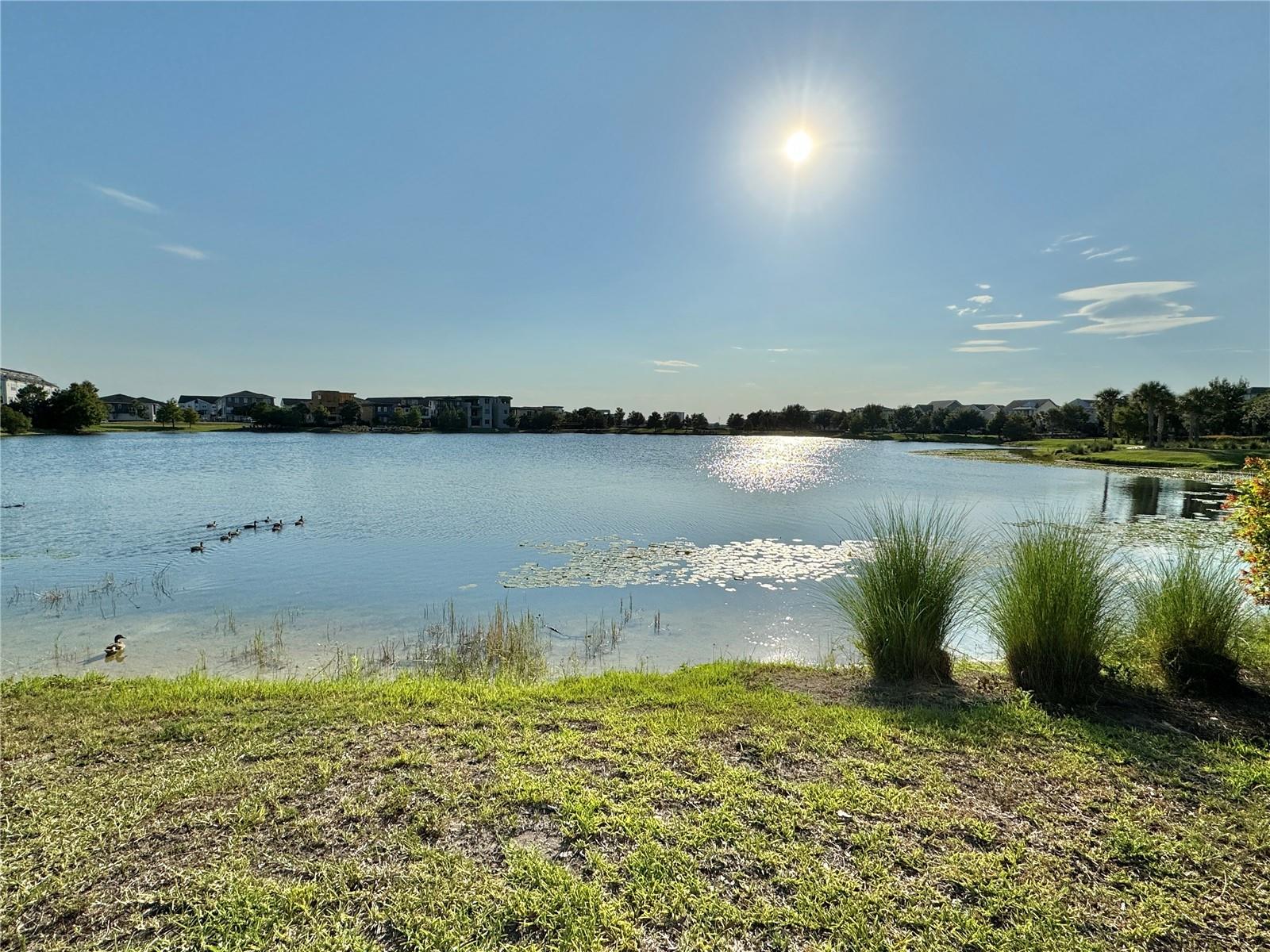 13408 BEEBE ALY, ORLANDO, FL — photo 54