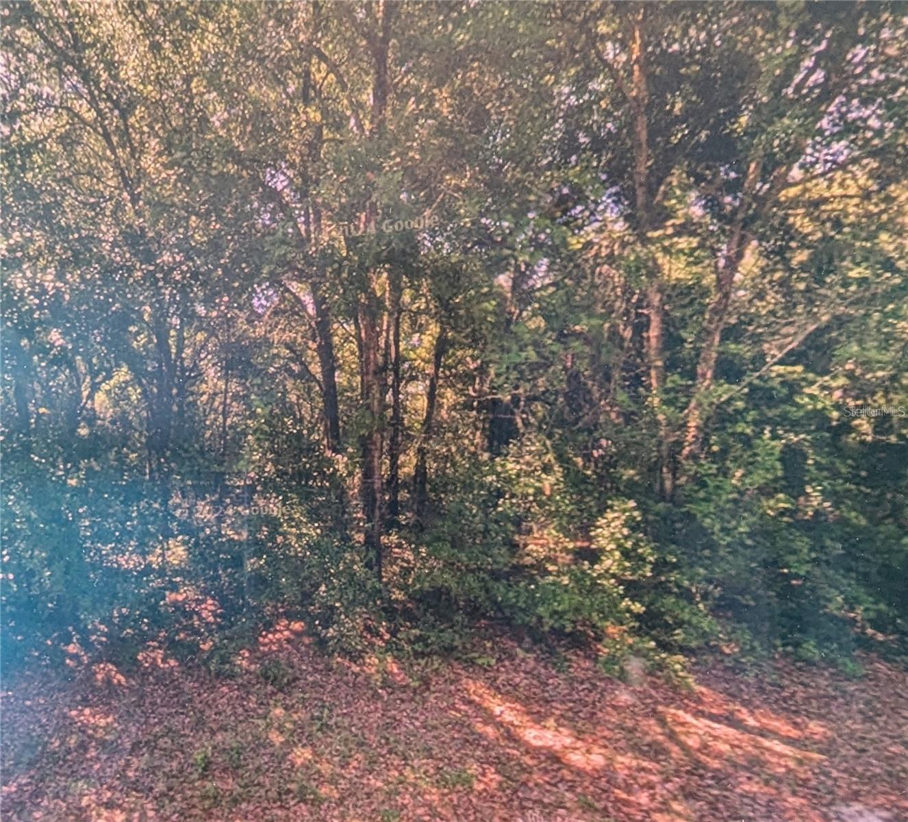 8973 N BEE WAY, DUNNELLON, FL