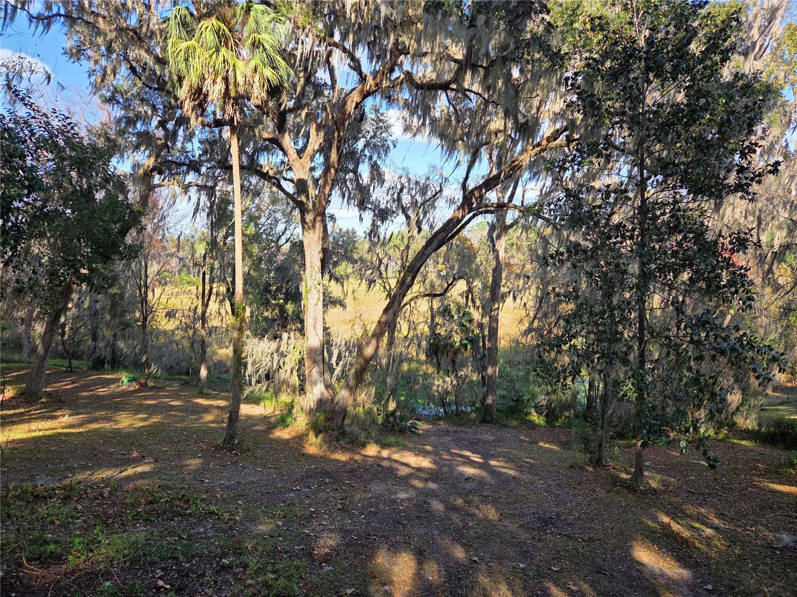 2901 SW 4TH CT, GAINESVILLE, FL — photo 8