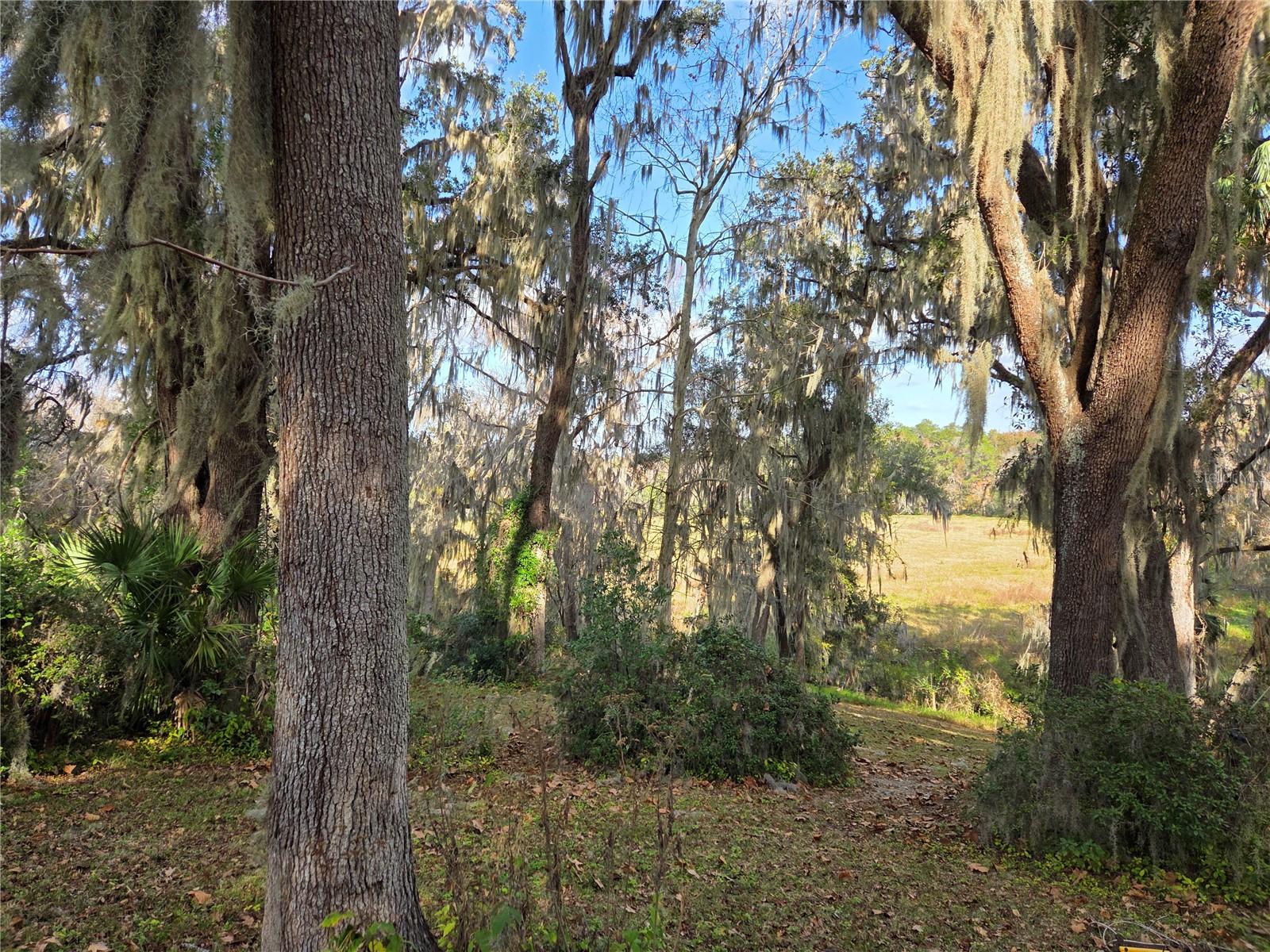 2901 SW 4TH CT, GAINESVILLE, FL — photo 9