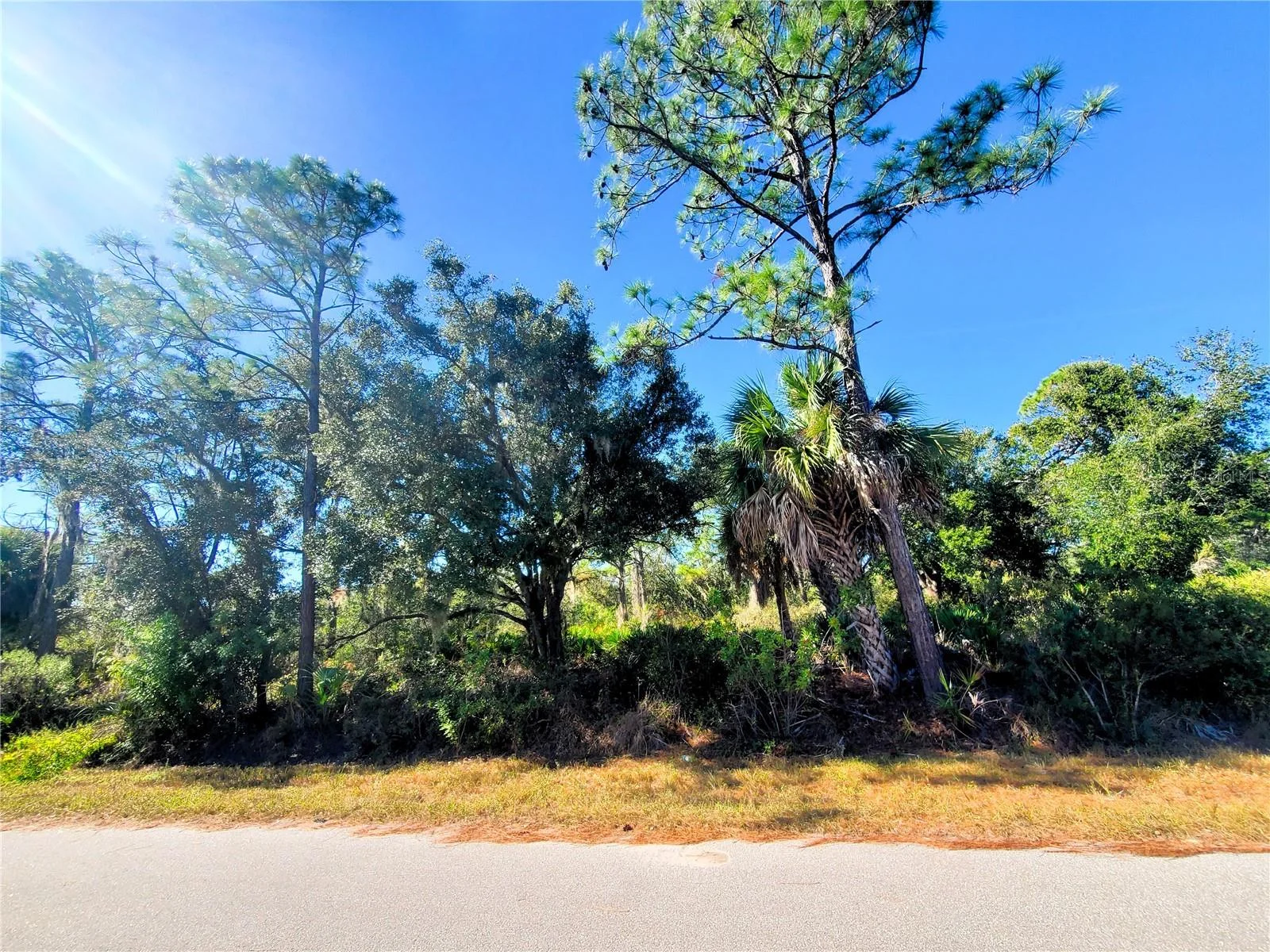 1603 FRISCO TER, PORT CHARLOTTE, FL — photo 2
