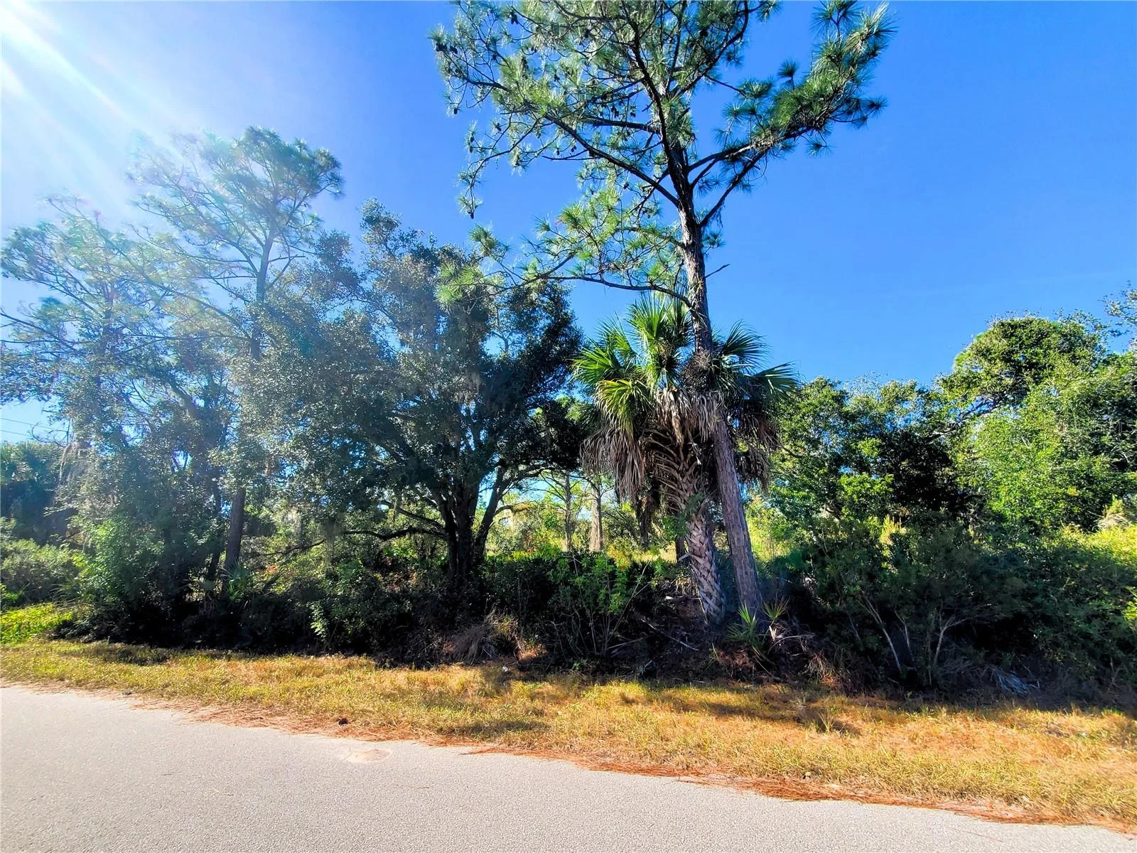 1603 FRISCO TER, PORT CHARLOTTE, FL — photo 3