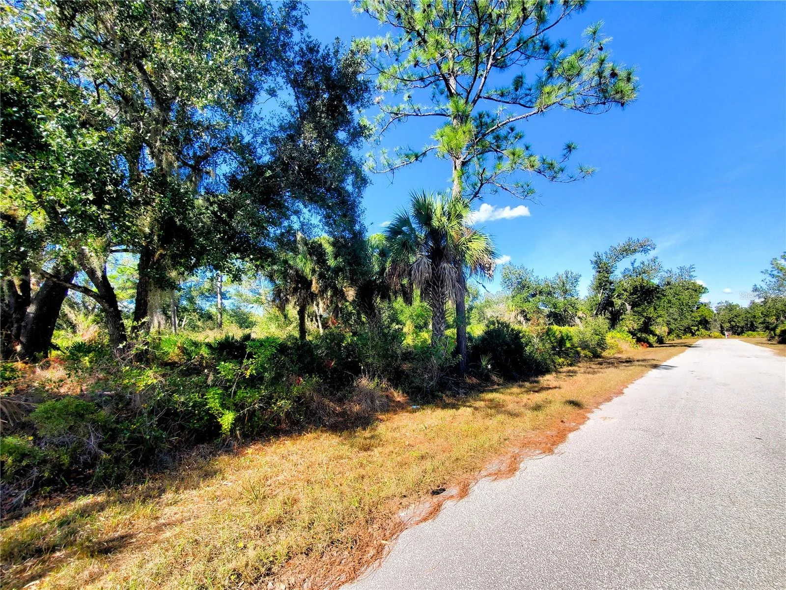 1603 FRISCO TER, PORT CHARLOTTE, FL — photo 5