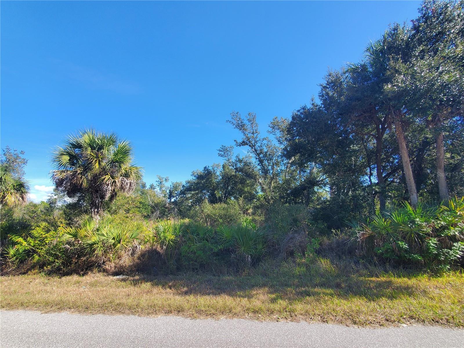 1520 CAPEL ST, PORT CHARLOTTE, FL — photo 3