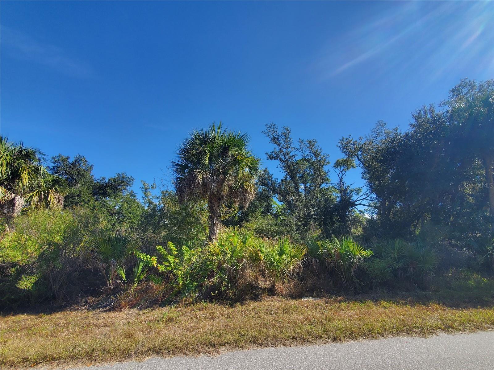 1520 CAPEL ST, PORT CHARLOTTE, FL — photo 5