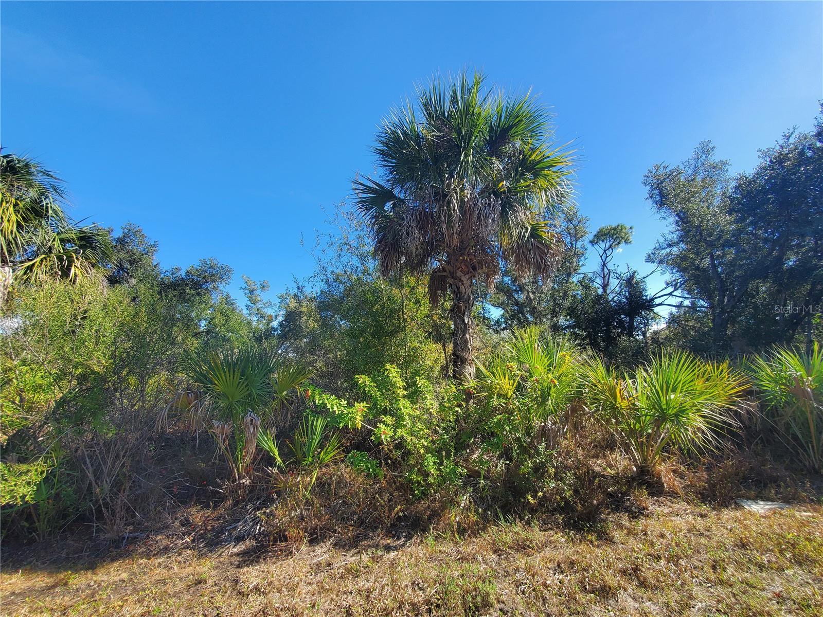 1520 CAPEL ST, PORT CHARLOTTE, FL — photo 9