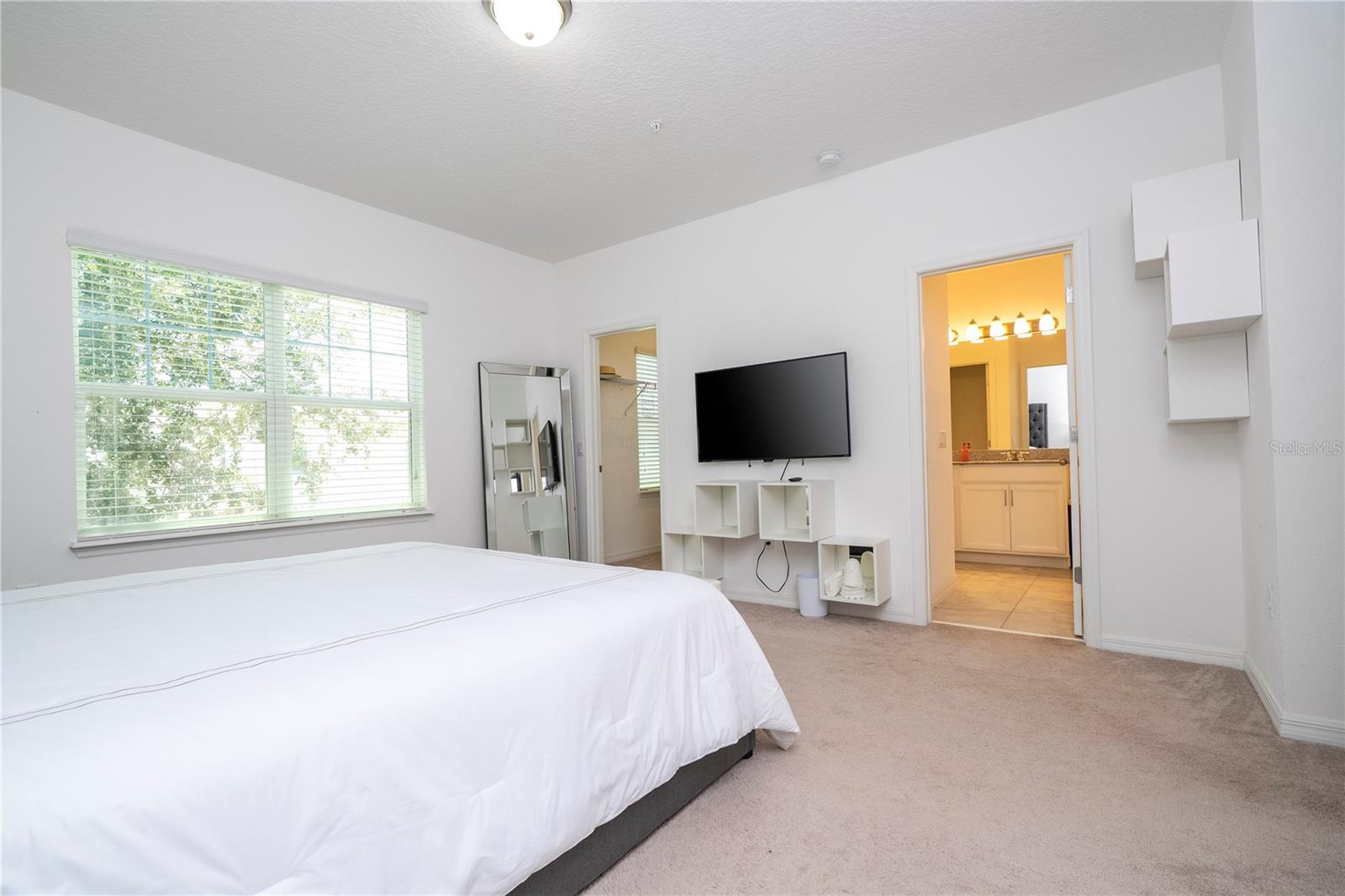 8225 BRYCE CANYON AVE, WINDERMERE, FL — photo 173