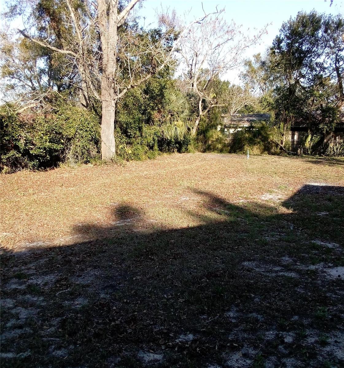 3695 DALE CT, MOUNT DORA, FL — photo 7