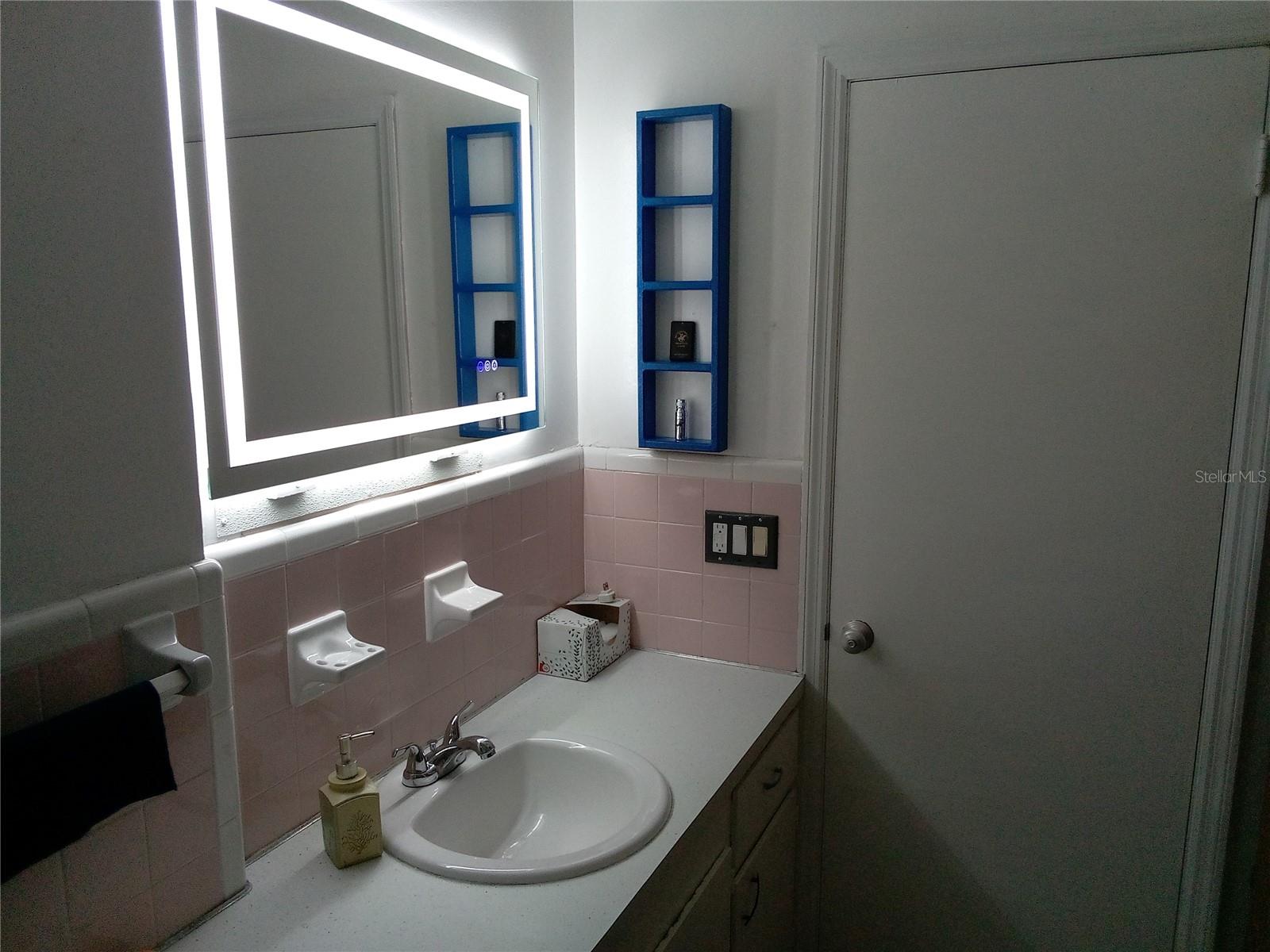3695 DALE CT, MOUNT DORA, FL — photo 25