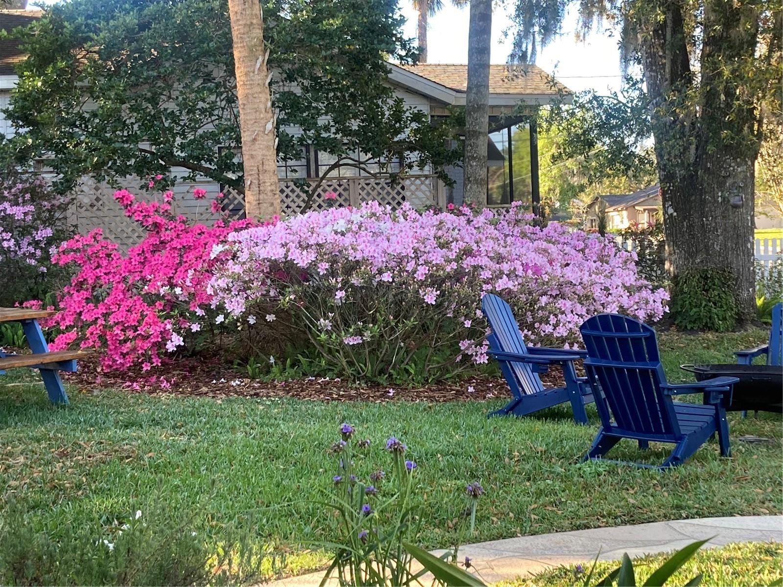 936 N BAKER ST, MOUNT DORA, FL — photo 99