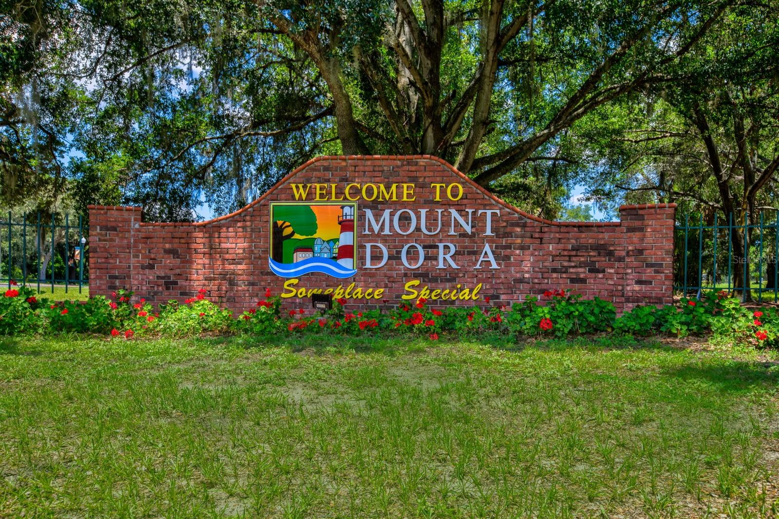 936 N BAKER ST, MOUNT DORA, FL — photo 121