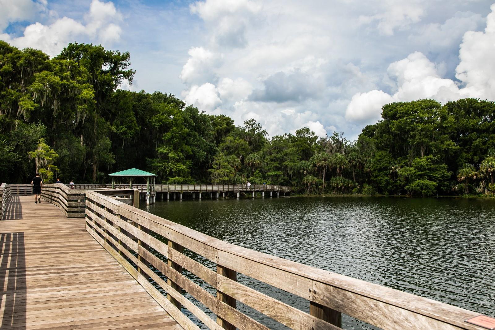 936 N BAKER ST, MOUNT DORA, FL — photo 125