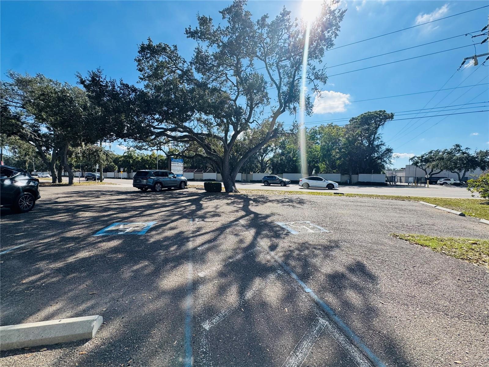 4509 BEE RIDGE RD #E, SARASOTA, FL — photo 5