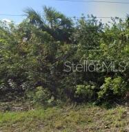 886 BITLIS ST SW, PALM BAY, FL