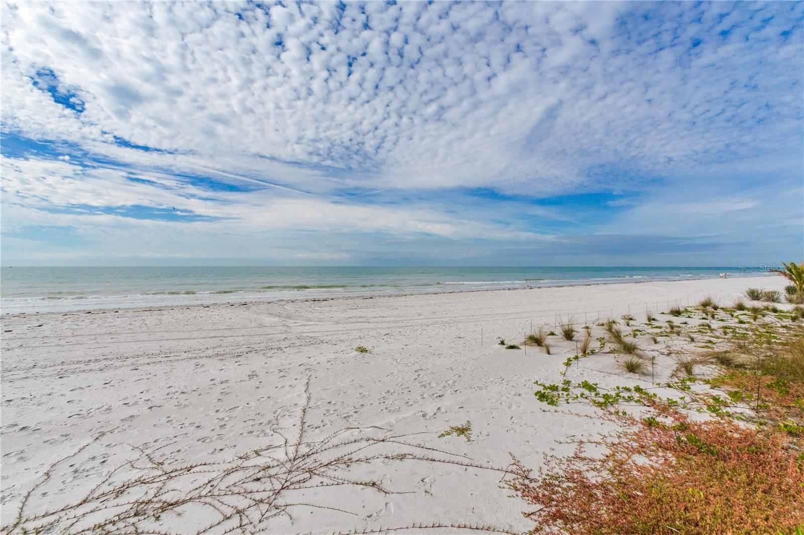 16116 GULF BLVD, REDINGTON BEACH, FL — photo 34