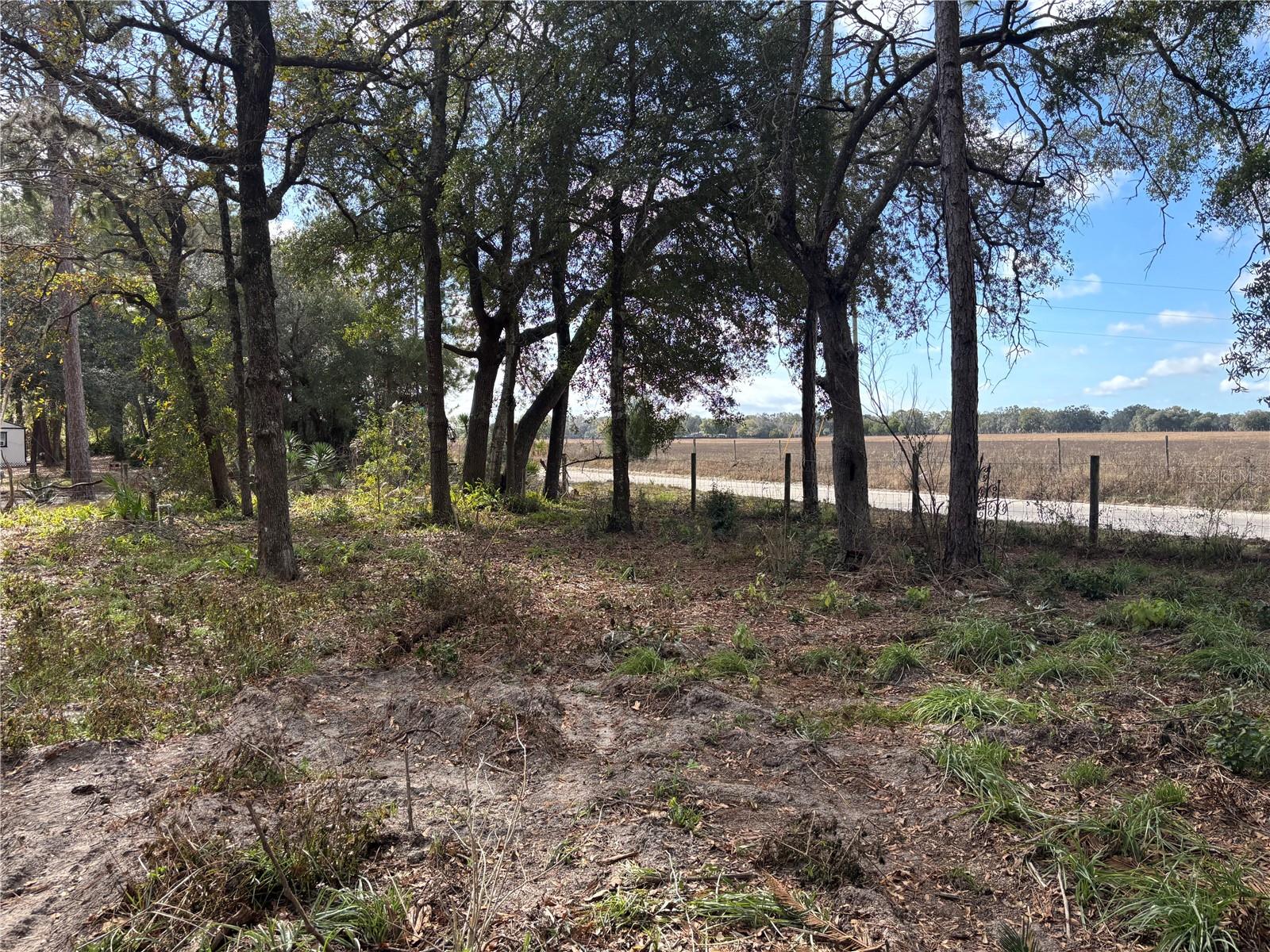31 SE 190TH AVE, OLD TOWN, FL — photo 3