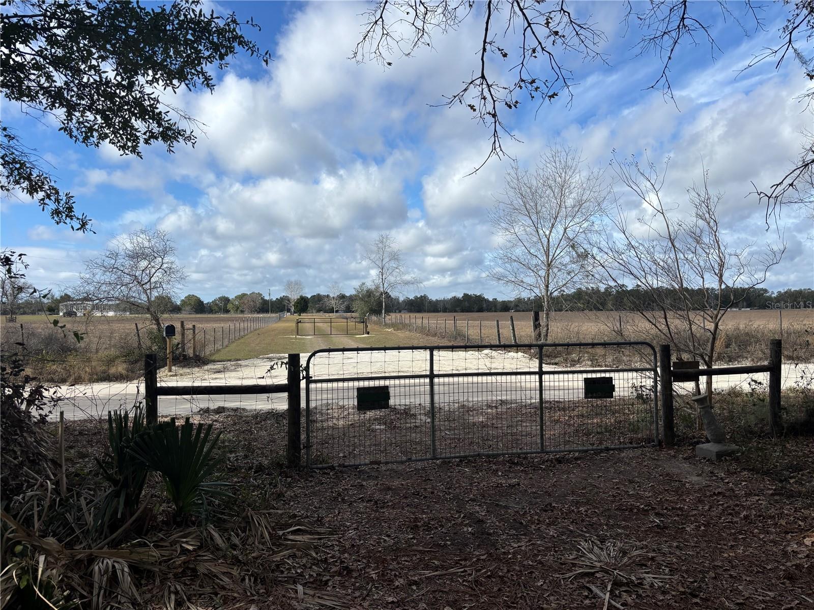 31 SE 190TH AVE, OLD TOWN, FL — photo 4
